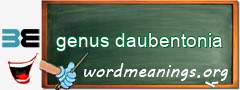 WordMeaning blackboard for genus daubentonia